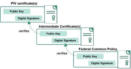 Example of a PIV certificate chain to Common